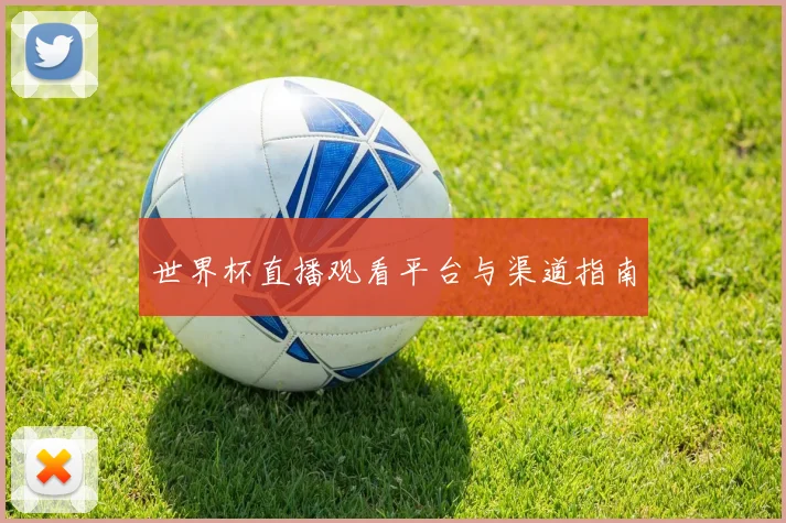 世界杯直播观看平台与渠道指南
