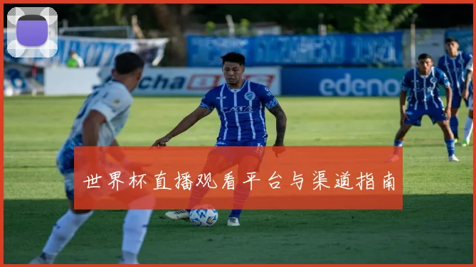 世界杯直播观看平台与渠道指南