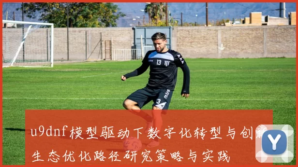 u9dnf模型驱动下数字化转型与创新生态优化路径研究策略与实践