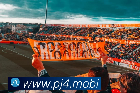 多媒体互动体验